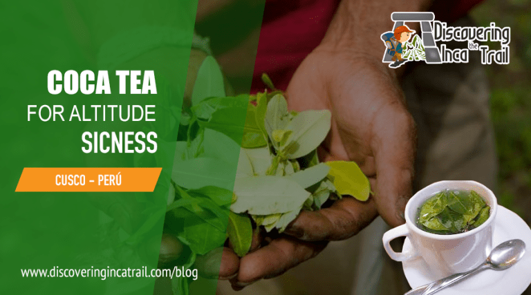 coca tea